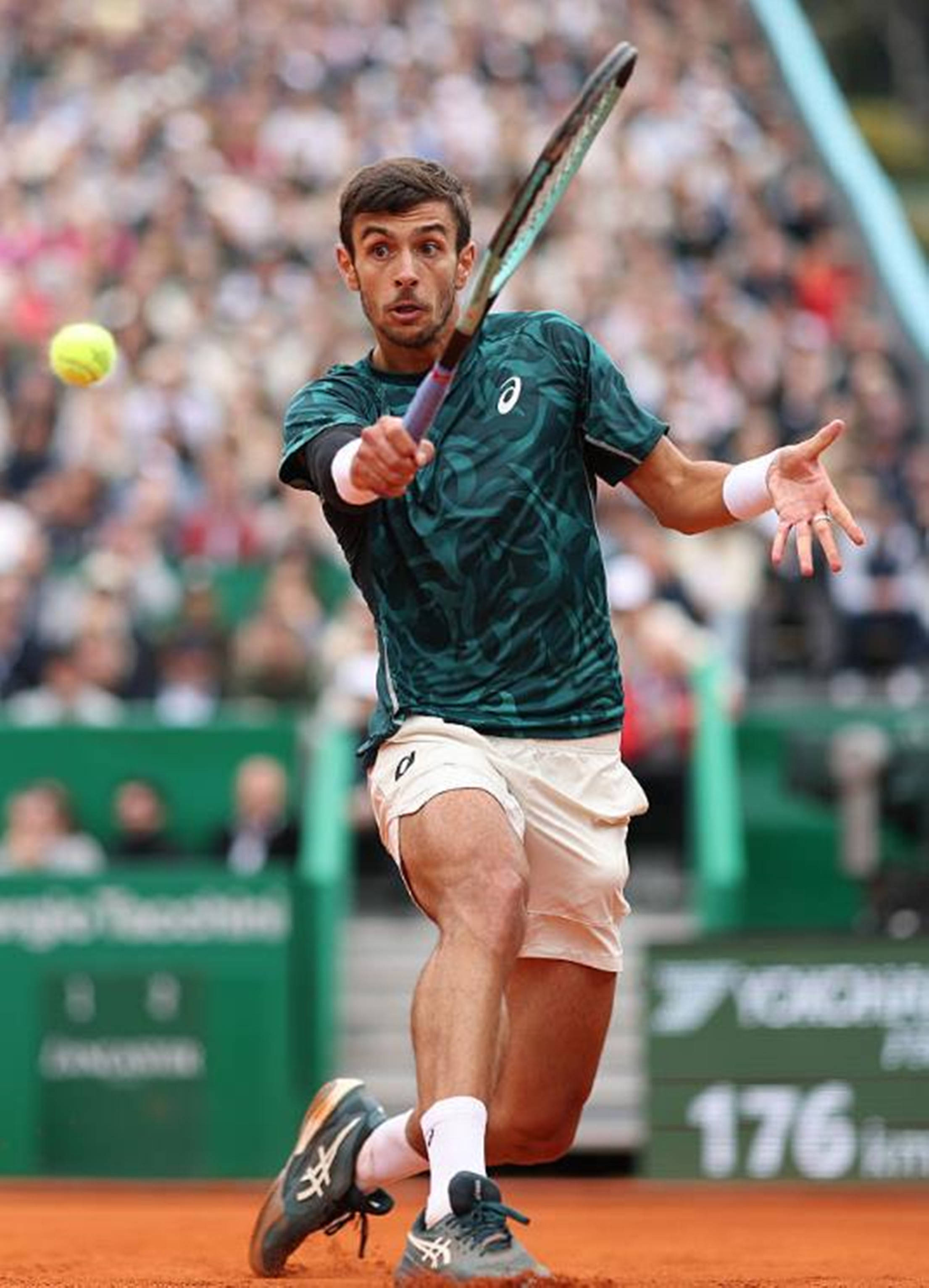 新核心的带 新核心的带